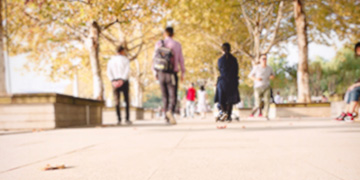 砀山悦旭专业优势